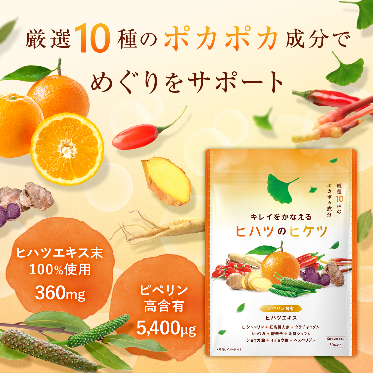 ヒハツのヒケツ